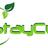 stay cure