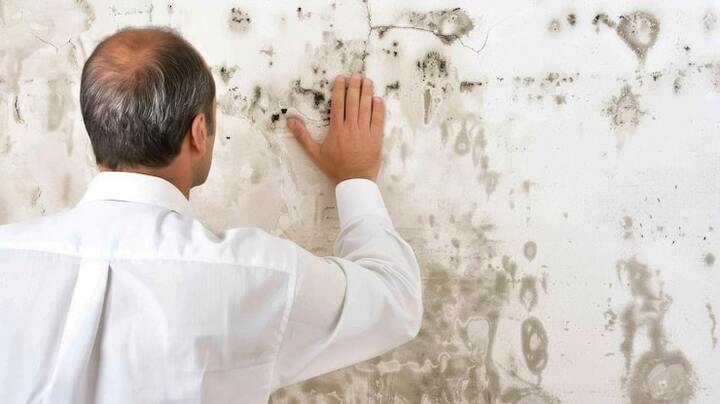Mold-Inspections-in-Conroe-TX