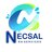 Necsal RO Services