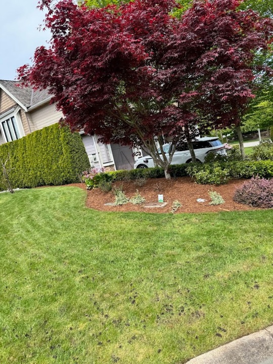 Landscaping-Companies-in-Surrey-BC