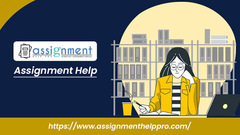 Assignment Help &amp; Assignment Helper \u2013 Reasons behind your prefer