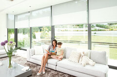 Special 50% Offer | Roller Blinds | Holland Blinds