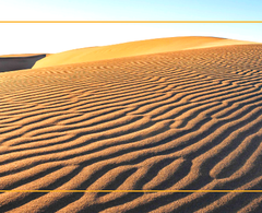 Dubai Desert Safari Bus Deals with Pickup\/ Drop - 59 AED