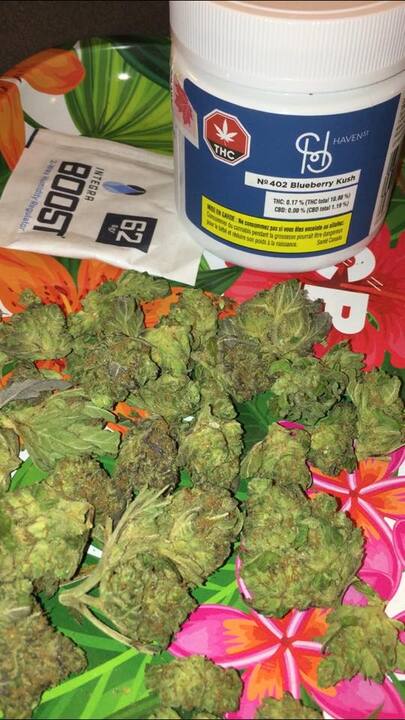 Buy Blueberry Marijuana strain | Order Acquista OG kush online
