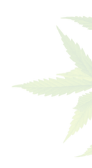 Shop - Page 2 of 4 - Orange County Cannabis Delivery