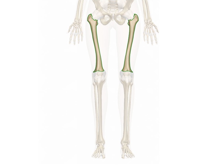 Pediatric Femur Fractures Treatments - Siiora.com