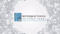 ???? GSI: Gemological Science International Diamond Certification