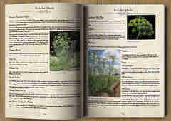 The Lost Book Of Remedies Review By Claude Davis: Where To Buy?