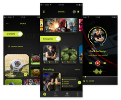 Netflix Clone App Script | Netflix clone App Development Company