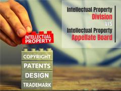 INTELLECTUAL PROPERTY DIVISION V\/S INTELLECTUAL PROPERTY APPELLA