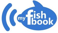 NEW Realistic Models For Fun At Love Sexy Dolls \u2013 MyFishBook