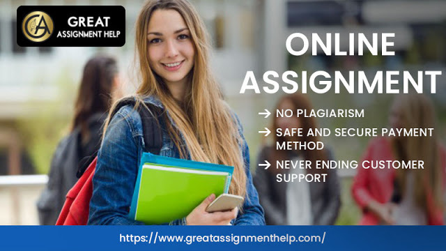 Customized  Online Assignment for Multifarious Homework Writing