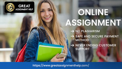 Customized  Online Assignment for Multifarious Homework Writing