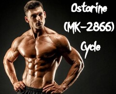MK 2866: Does It Work? Ostarine MK-2866 SARM Legit Consumer Warn