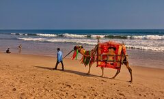 Mausuni Island which was Decorated like a Dream \u2013 DY Crunch