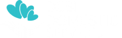 Desi Domestic Service LLC || Best Indian and Desi Eldercare