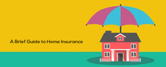 Top 4 Different Types of Property Insurances and It&#039;s Benefits