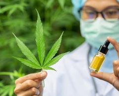 Line Organic CBD Oil