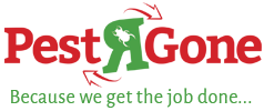 Bed Bugs Exterminator Toronto - Pest R Gone
