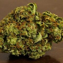 Buy Sativa Strains Marijuana Online - Online Marijuana Store | s