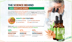 Get Physically, Mentally and Emotionally Fit by "Mighty Leaf CBD