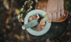 Weight Loss Archives - Human Health &amp; Fitness