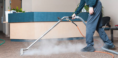 Carpet Cleaning Adelaide | Carpet Steam Cleaning Adelaide
