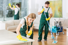 Domestic Cleaning Adelaide | Home Cleaning Adelaide |