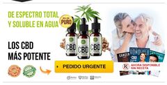 Full Spectrum CBD Mexico Precio, Opiniones, Finciona &amp; Donde Com