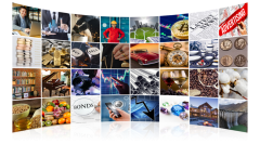 99 Alternatives | Alternative Investment Asset Classes