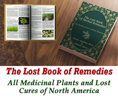 The Lost Book Of Herbal Remedies Review - (PDF Free Download Lin