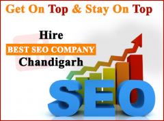 Top Best SEO Company in Chandigarh | Hire Best SEO Expert Chandi