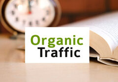 Best SEO Company in India | Top SEO Services - Rai Infotech Solu
