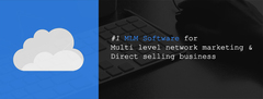 MLM Software development