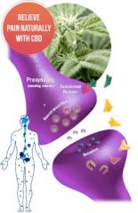 Is Green Ape CBD Gummies Safe? Read "Amazon Customer Reviews" Se