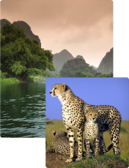 Criollo House Seychelles - Luxury Hotel with Villas | Book Now