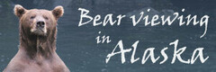 Alaska Fishing Trips And Chinitna Bay Bear Tours | Bear Viewing 