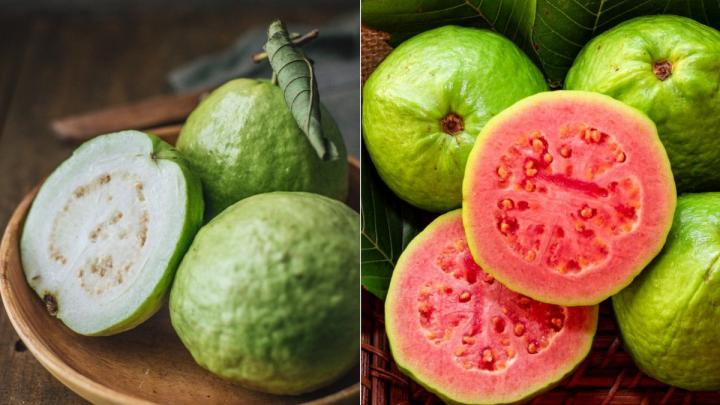 Guava Trees