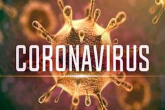 Workplace Preparedness for Novel Coronavirus (Covid-19)