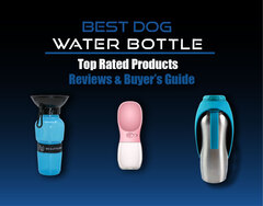 20+ Best Dog Water Bottles | Dog Water Bowls | Dog Crate Water B