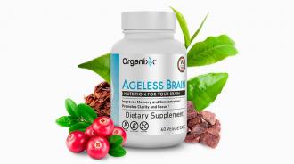 Highly Informative Details Regarding Nootropics