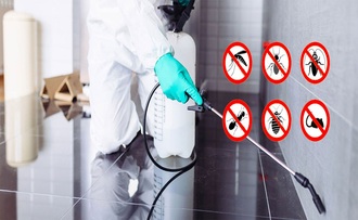 Pest Proofing Company \u2013 Bring More In Short Time