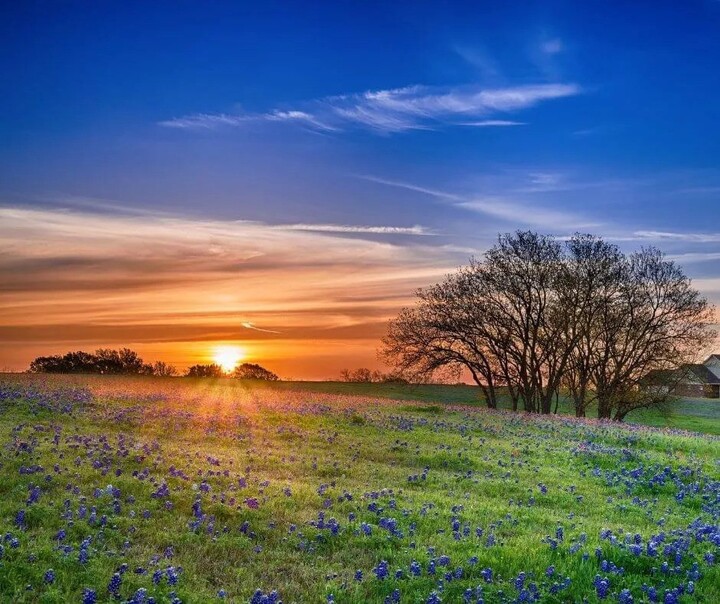 How Texas Land Buyers Is Beneficial?