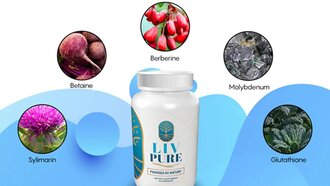 Apply Review Of Liv Pure Order To Gather All Vital Details