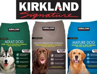 Dog Food Expert \u2013 Just Enhance Your Knowledge Now!