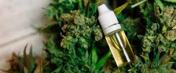 Some Details About Cannabis Oil
