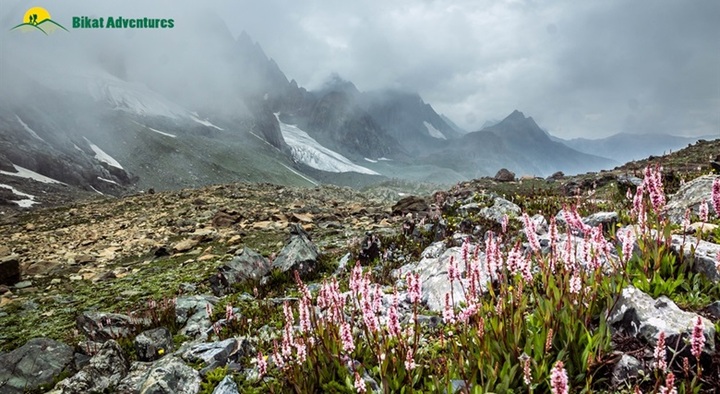 Kashmir Great Lakes Trek Expedition (June 30 - July 7, 2024)