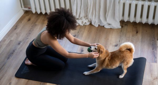 Are You Interested In Dog Friendly Rehabs?