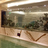 How to Choose High Quality Acrylic Fish Tank Manufacturers?